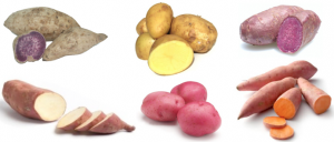 Varietà di patate e tagli