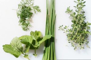 Le erbe aromatiche utilizzo in cucina